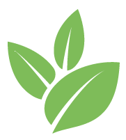 Vine Removal