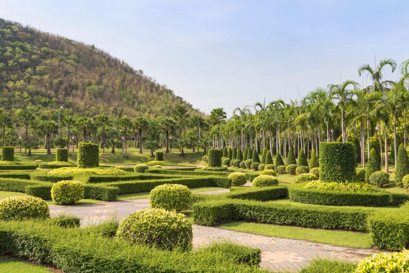Landscape with Shaped Hedges