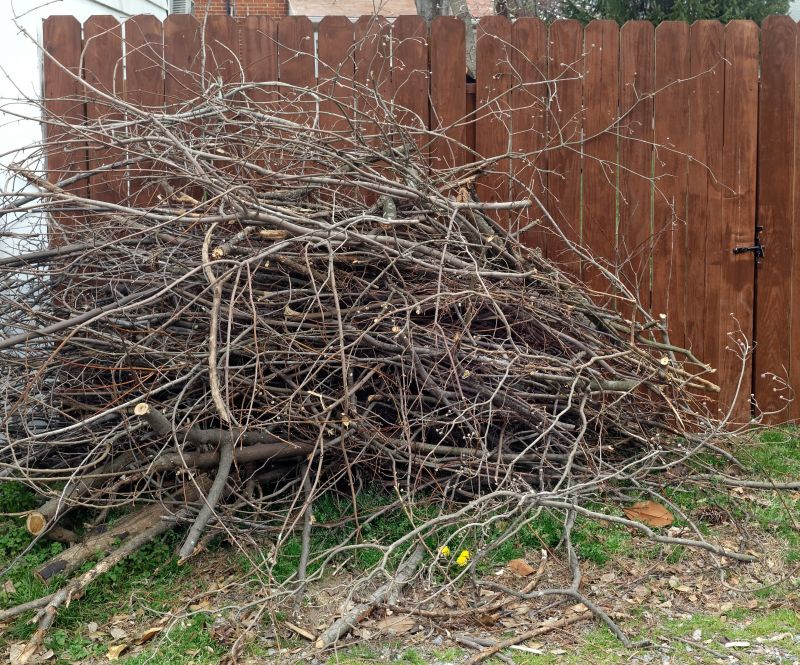 Vines Removed from Fence