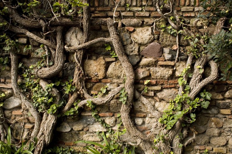 Get Rid of A Landscaping Eyesore!